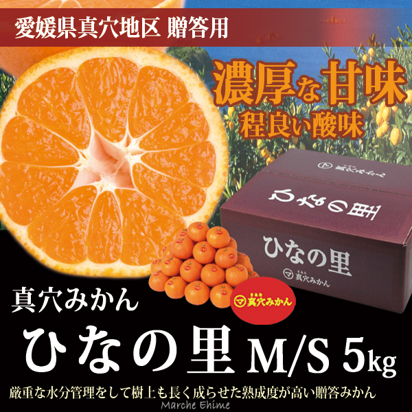 真穴みかん ひなの里 5kg MまたはS