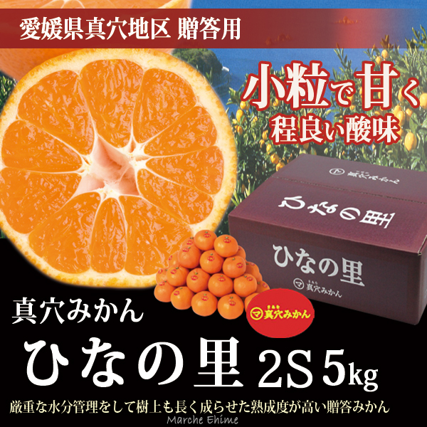 真穴みかん ひなの里 2S
